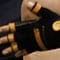 Bernie_glove_60x60.jpg